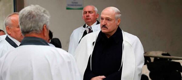 Лукашэнка вывеў формулу продажу прадуктаў харчавання на экспарт Лукашэнка вывеў формулу продажу прадуктаў харчавання на экспарт - Sputnik Беларусь