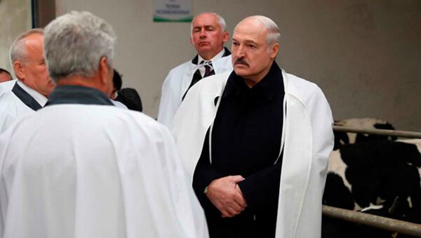Рабочая поездка президента Беларуси Александра Лукашенко в Витебский район - Sputnik Беларусь