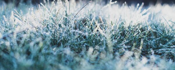 Иней на траве, архивное фото - Sputnik Беларусь