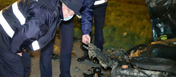 Следователи работают на месте ДТП в Борисовском районе, где погибли шесть человек Следователи работают на месте ДТП в Борисовском районе, где погибли шесть человек - Sputnik Беларусь