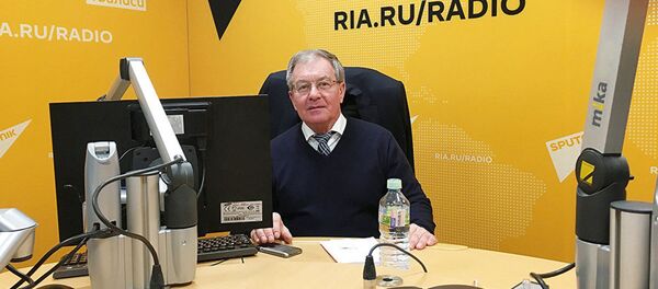 Кандидат экономических наук, эксперт РИСИ Михаил Беляев - Sputnik Беларусь