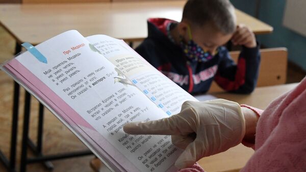 Учитель ведет урок в общеобразовательной школе  - Sputnik Беларусь