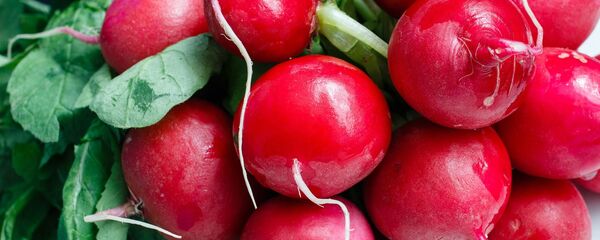 Редис - Sputnik Беларусь