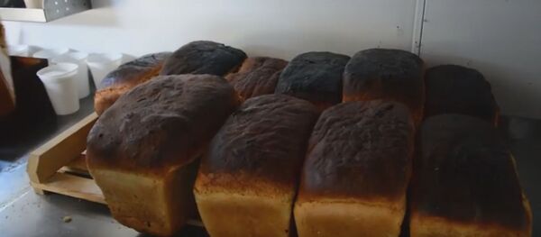 Как военные пекут хлеб для полевого госпиталя - видео - Sputnik Беларусь