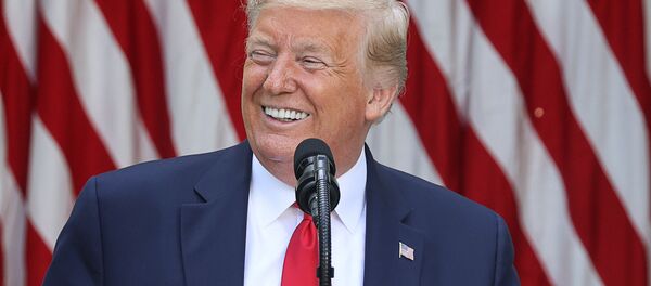 Президент США Дональд Трамп - Sputnik Беларусь