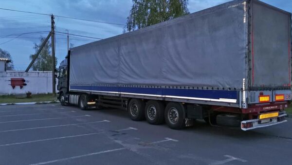 Минские таможенники обнаружили нелегалов в грузовом отсеке автопоезда SCANIA - Sputnik Беларусь