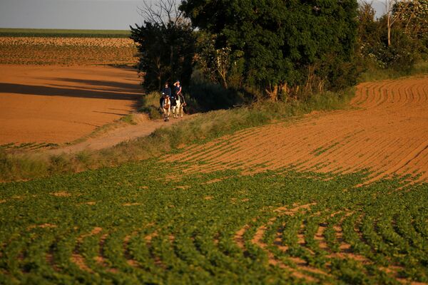 Люди едут на лошадях по пересохшему полю сахарной свеклы в Блекур, Франция - Sputnik Беларусь