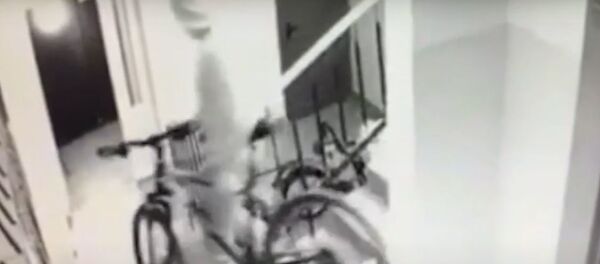 Житель Барановичей потерял работу и начал воровать велосипеды - Sputnik Беларусь