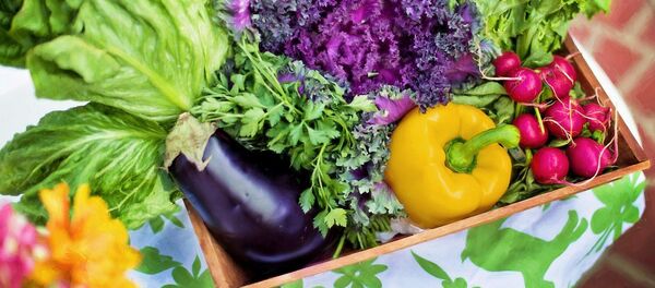 Овощи, архивное фото - Sputnik Беларусь