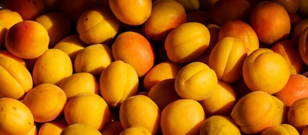 Абрикосы, архивное фото - Sputnik Беларусь