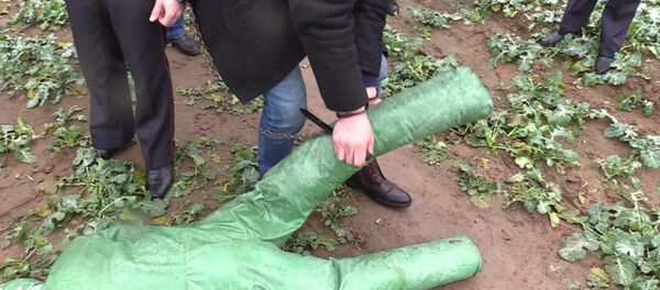 Мужчина убил напарника в Жодино - Sputnik Беларусь