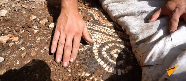 Как выглядит древняя мозаика, которую археологи искали почти сто лет, видео - Sputnik Беларусь
