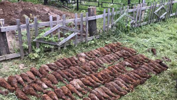 Во время копания могилы на кладбище нашли больше сотни минометных мин времен войны - Sputnik Беларусь