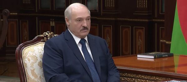 Лукашэнка жорстка адказаў канкурэнтам на выбарах Лукашэнка жорстка адказаў канкурэнтам на выбарах - Sputnik Беларусь