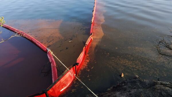 Ликвидация нефтяного пятна в устье реки Амбарная - Sputnik Беларусь