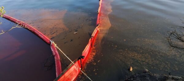 Ликвидация нефтяного пятна в устье реки Амбарная - Sputnik Беларусь