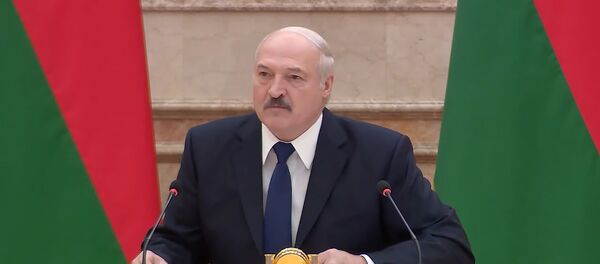 Лукашенко рассказал, как и для чего организованы многолюдные пикеты - Sputnik Беларусь