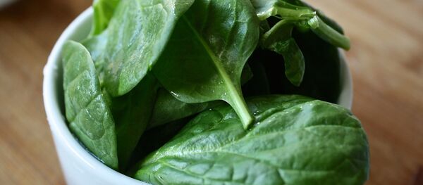 Листья шпината, архивное фото - Sputnik Беларусь