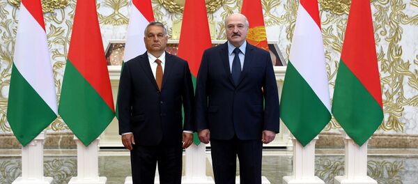 Премьер-министр Венгрии Виктор Орбан во время встречи с белорусским президентом Александром Лукашенко в Минске Премьер-министр Венгрии Виктор Орбан во время встречи с белорусским президентом Александром Лукашенко в Минске - Sputnik Беларусь
