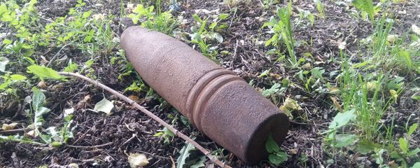 Гомельчанин нашел в реке снаряд и пошел с ним в милицию - Sputnik Беларусь