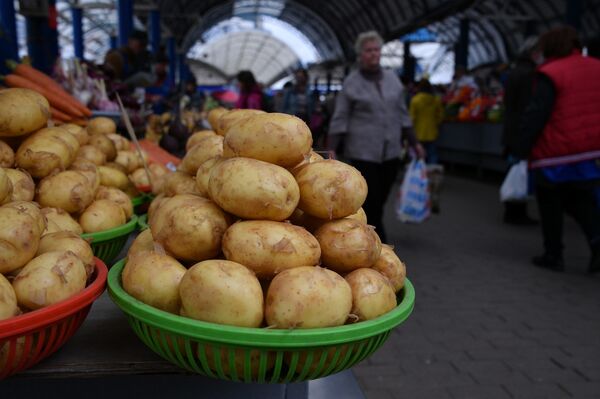 Черешня по 5 рублей! За чем еще идти на Комаровку перед выходными - Sputnik Беларусь