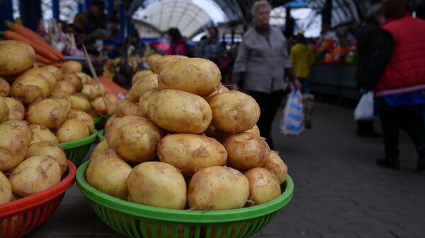 Молодой картофель пока найдется только российский и украинский - Sputnik Беларусь
