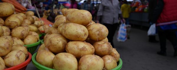 Молодой картофель пока найдется только российский и украинский - Sputnik Беларусь