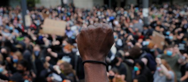 Демонстранты в Бостоне, штат Массачусетс - Sputnik Беларусь
