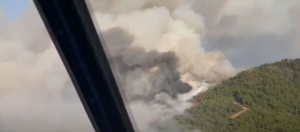 Авиация МЧС тушит лесные пожары в Турции - Sputnik Беларусь
