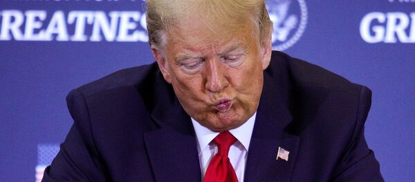 Президент США Дональд Трамп Президент США Дональд Трамп - Sputnik Беларусь