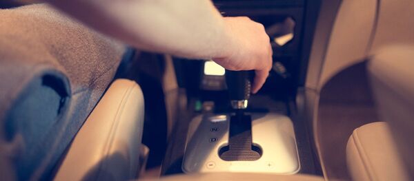 Вадзіцель, архіўнае фота Вадзіцель, архіўнае фота - Sputnik Беларусь