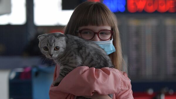 Девочка держит на руках котенка в одном из терминалов в международном аэропорту Внуково - Sputnik Беларусь