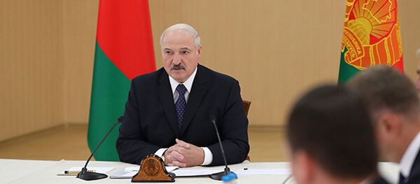 Лукашенко: и в коровники будем ходить, и свиноматок будем смотреть - Sputnik Беларусь