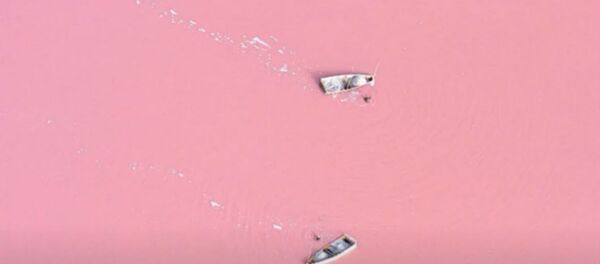 Озеро изменило цвет и стало розовым в Индии  - Sputnik Беларусь