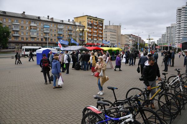 Последнее воскресенье сбора подписей: как в Беларуси проходили пикеты - Sputnik Беларусь