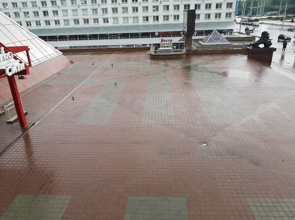 Последнее воскресенье сбора подписей: как в Беларуси проходили пикеты - Sputnik Беларусь