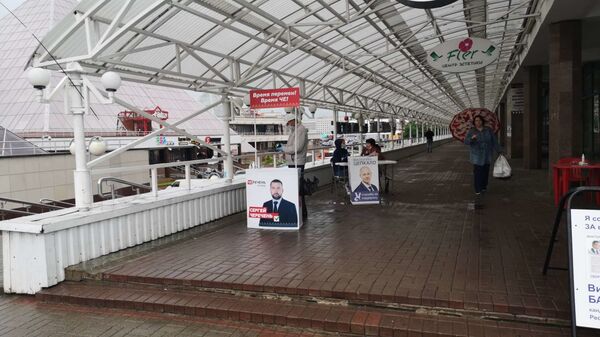 Последнее воскресенье сбора подписей: как в Беларуси проходили пикеты - Sputnik Беларусь