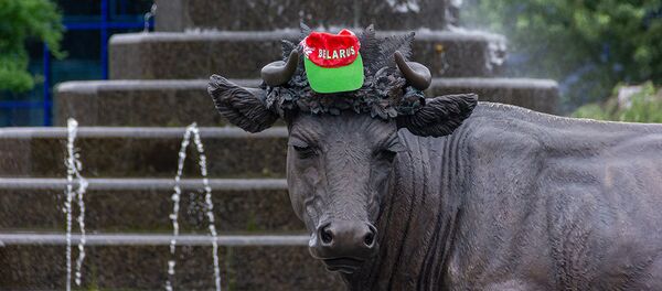 Последние выходные с пикетами: как собирали подписи в Минске и регионах - Sputnik Беларусь