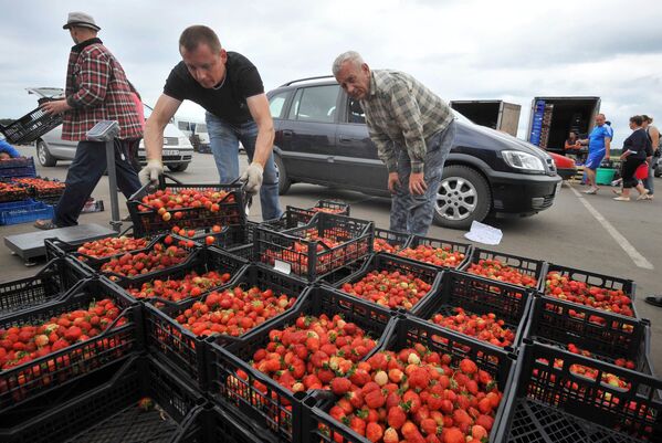 Продажа клубники на сезонном рынке в деревне Дворец Лунинецкого района - Sputnik Беларусь