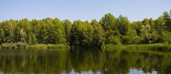 Природа Беларуси летом, архивное фото Природа Беларуси летом, архивное фото - Sputnik Беларусь