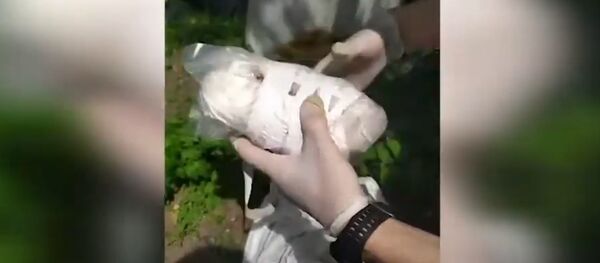 Торговцев наркотиками задержали в Минске - Sputnik Беларусь