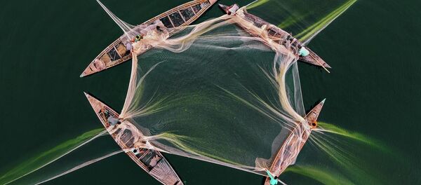 Работа фотографа из Бангладеша Абдула Момина Рыбалка на Джамуне, вошедшая в шорт-лист конкурса имени Андрея Стенина в категории «Моя планета. Одиночная фотография» - Sputnik Беларусь