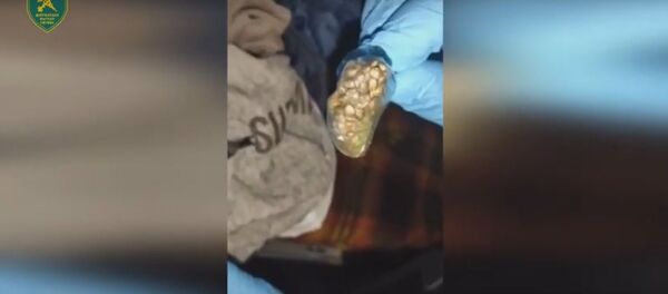 Дальнобойщик вез через границу грамм марихуаны – ему грозит до семи лет - Sputnik Беларусь