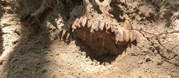 Арсенал мин времен ВОВ нашли на окраине Бреста - Sputnik Беларусь