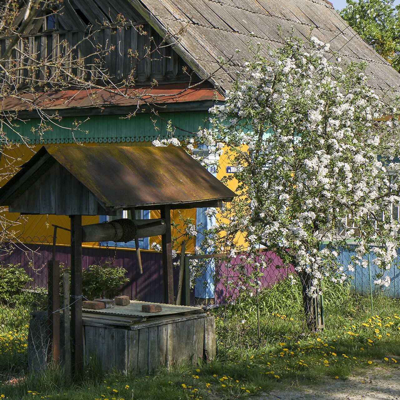 Вступление в наследство: что нужно знать?