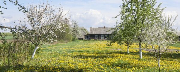 Закінуты дом у вёсцы Пагост Закінуты дом у вёсцы Пагост - Sputnik Беларусь