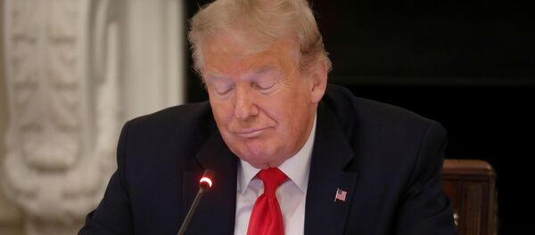 Президент США Дональд Трамп Президент США Дональд Трамп - Sputnik Беларусь