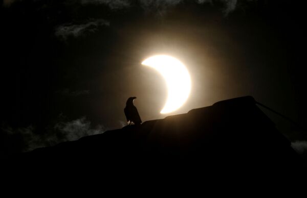 Ворона сидит на крыше во время затмения в Найроби, Кения - Sputnik Беларусь