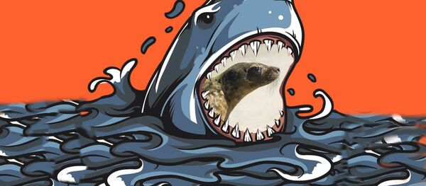 Дикость: новости о животных, которые нас порадовали - Sputnik Беларусь