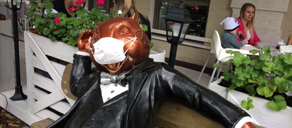 Бобер в маске в Бобруйске - Sputnik Беларусь